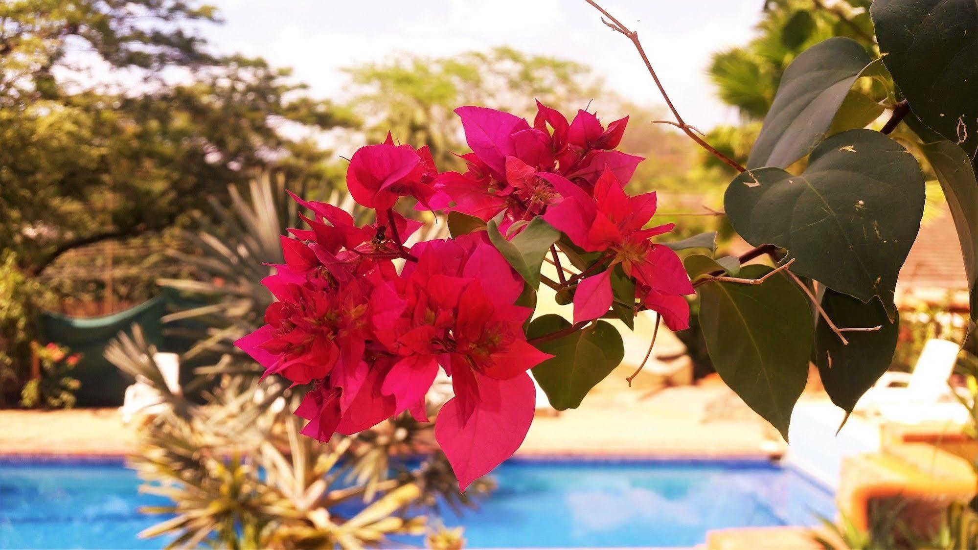 פוטררו Hotel Nahua מראה חיצוני תמונה